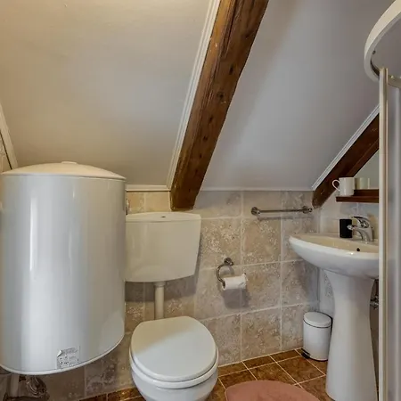 Viktor Guest house Kranjska Gora